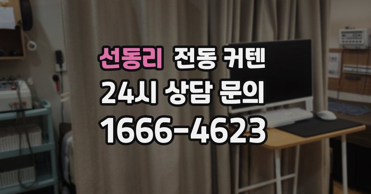 선동리 전동 커텐