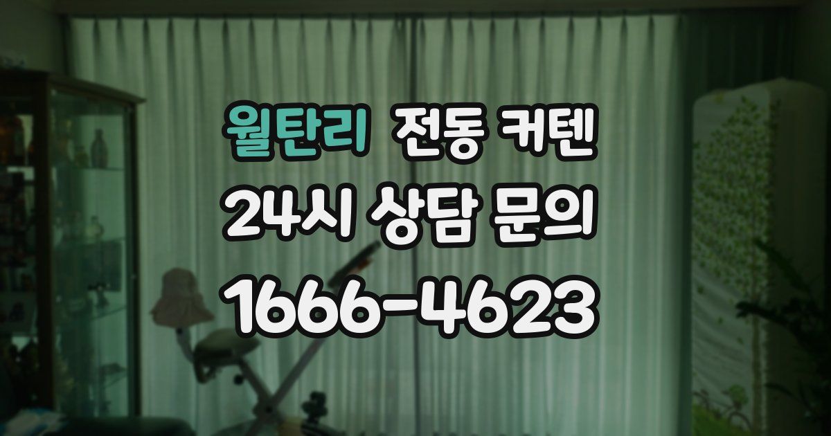 월탄리 전동 커텐