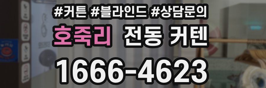 호죽리 전동 커텐
