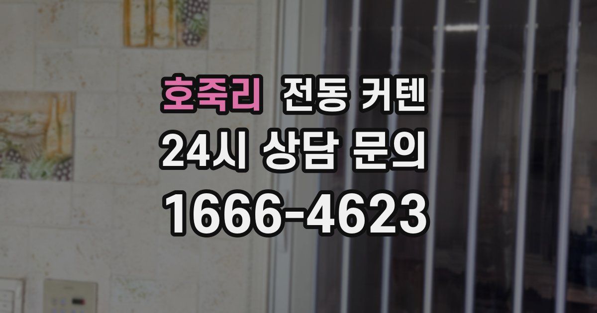 호죽리 전동 커텐