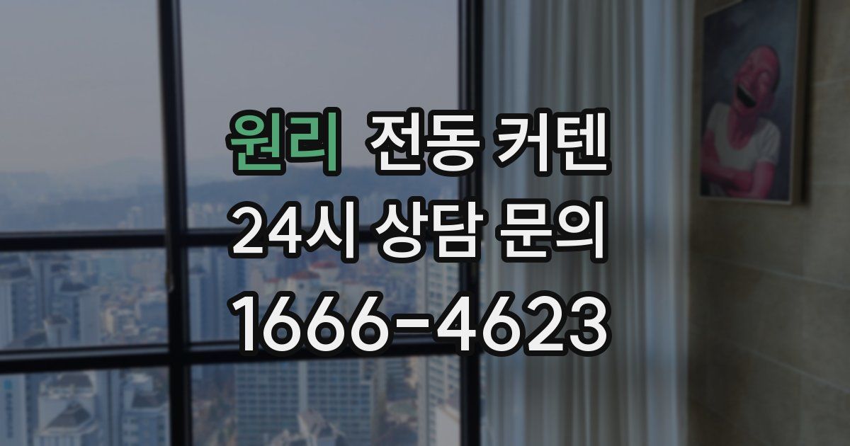 원리 전동 커텐