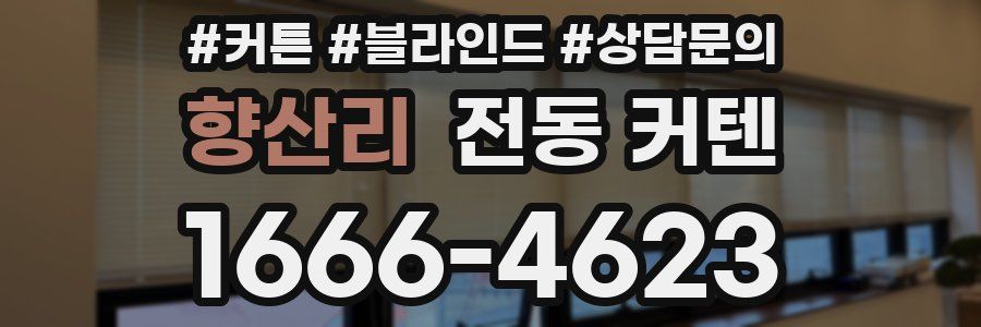 향산리 전동 커텐