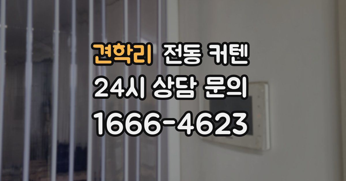 견학리 전동 커텐