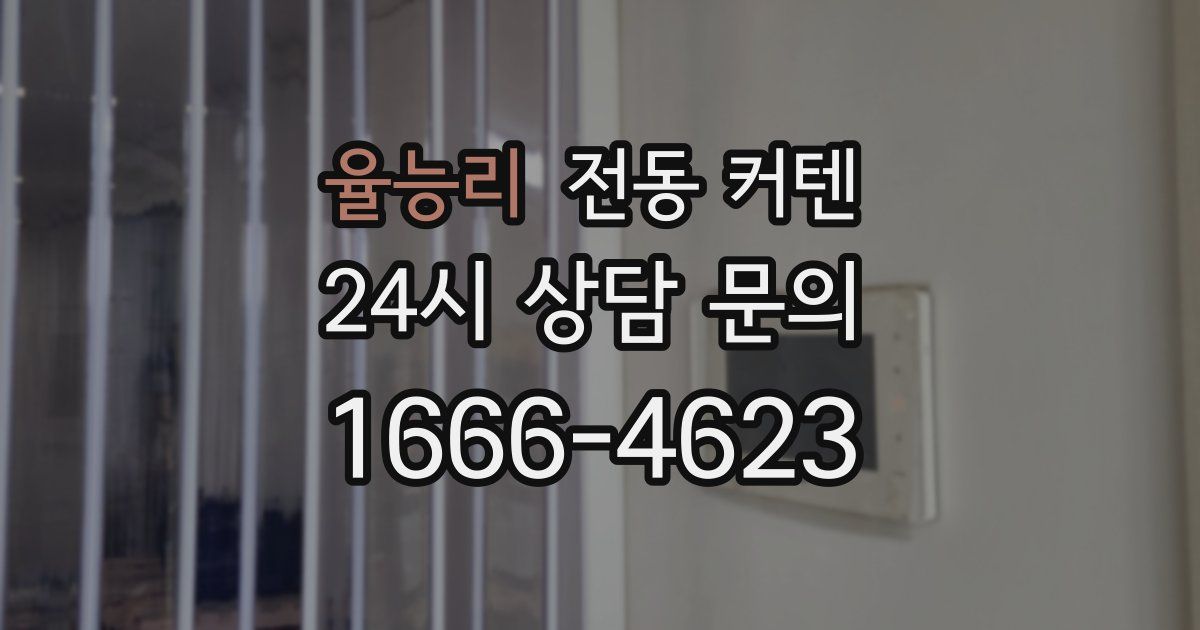 율능리 전동 커텐