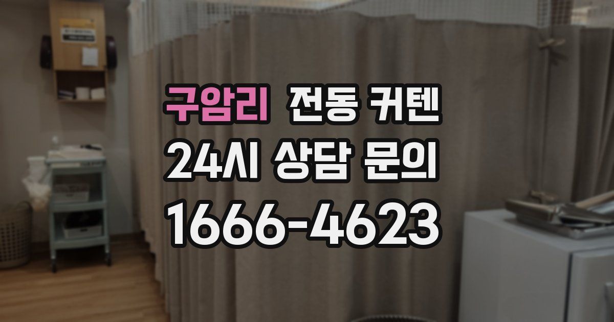 구암리 전동 커텐