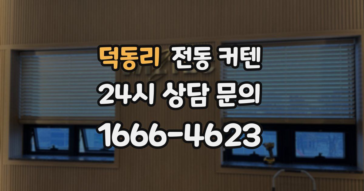 덕동리 전동 커텐