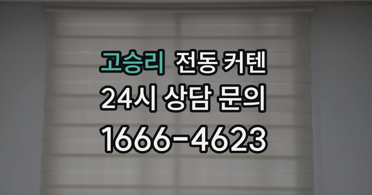 고승리 전동 커텐