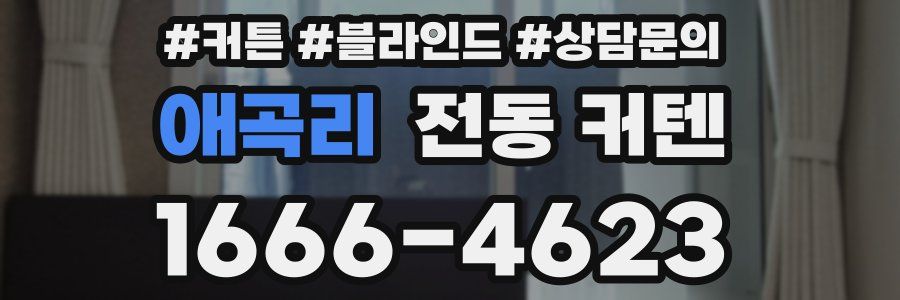 애곡리 전동 커텐