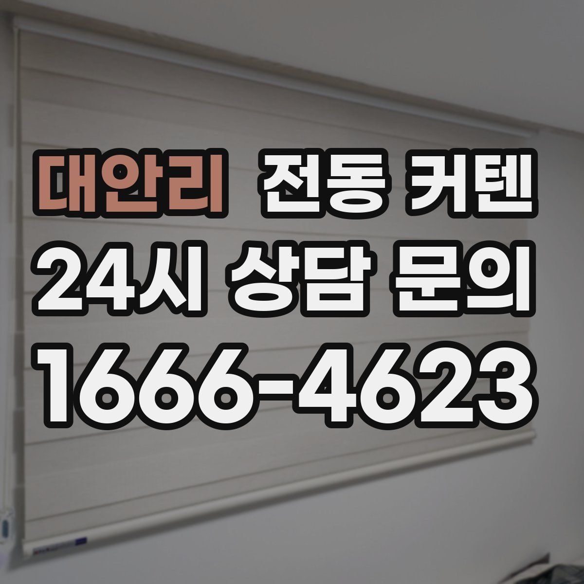대안리 전동 커텐