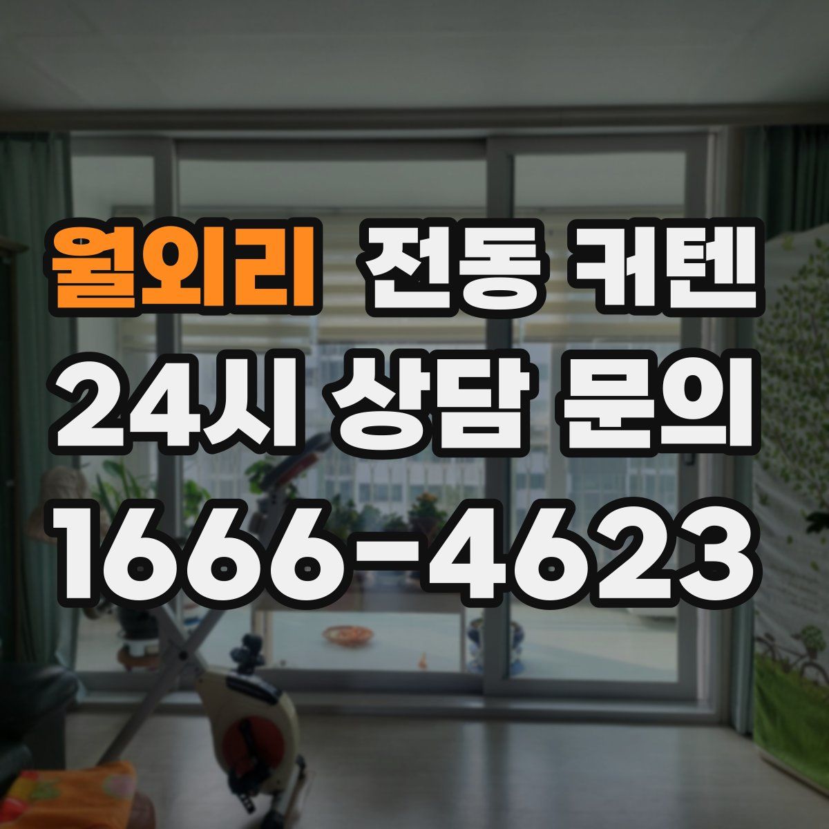 월외리 전동 커텐