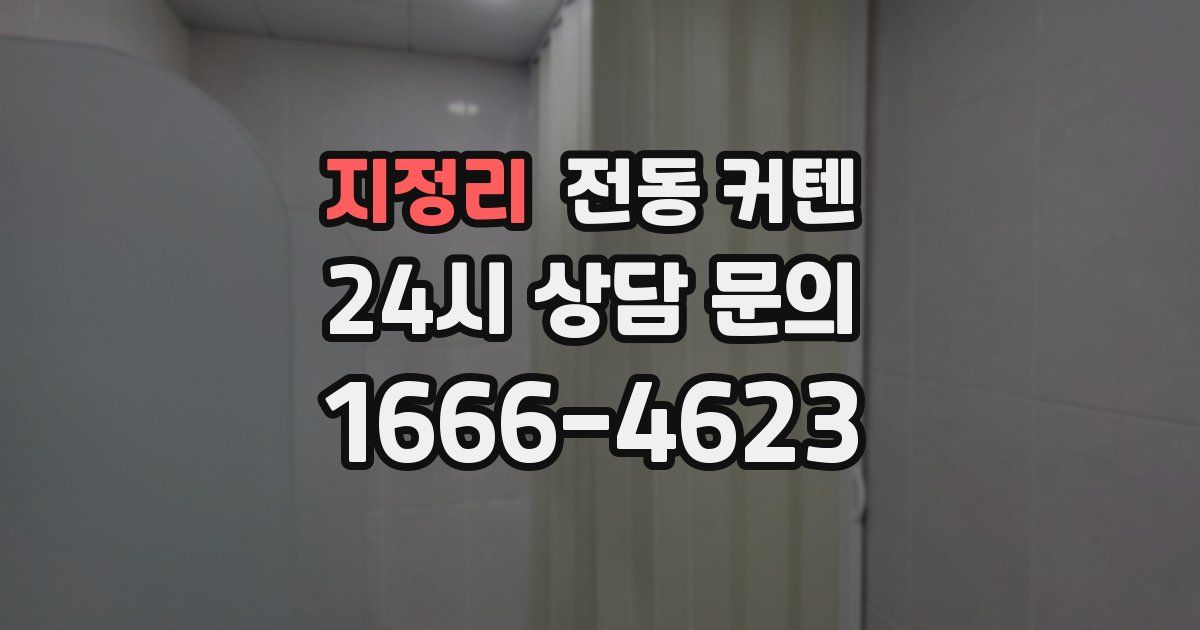 지정리 전동 커텐