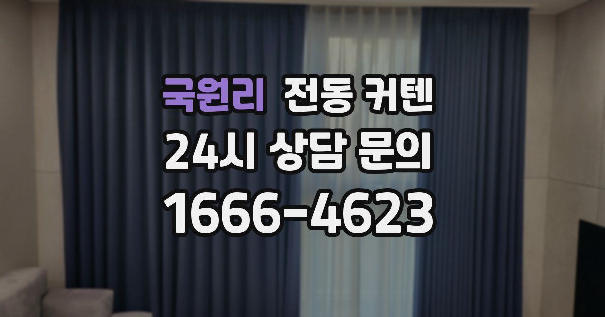 국원리 전동 커텐