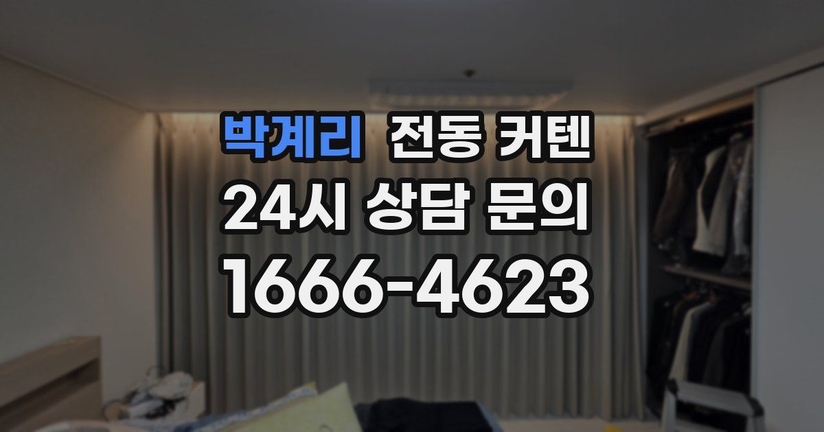 박계리 전동 커텐