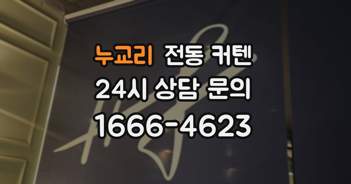 누교리 전동 커텐