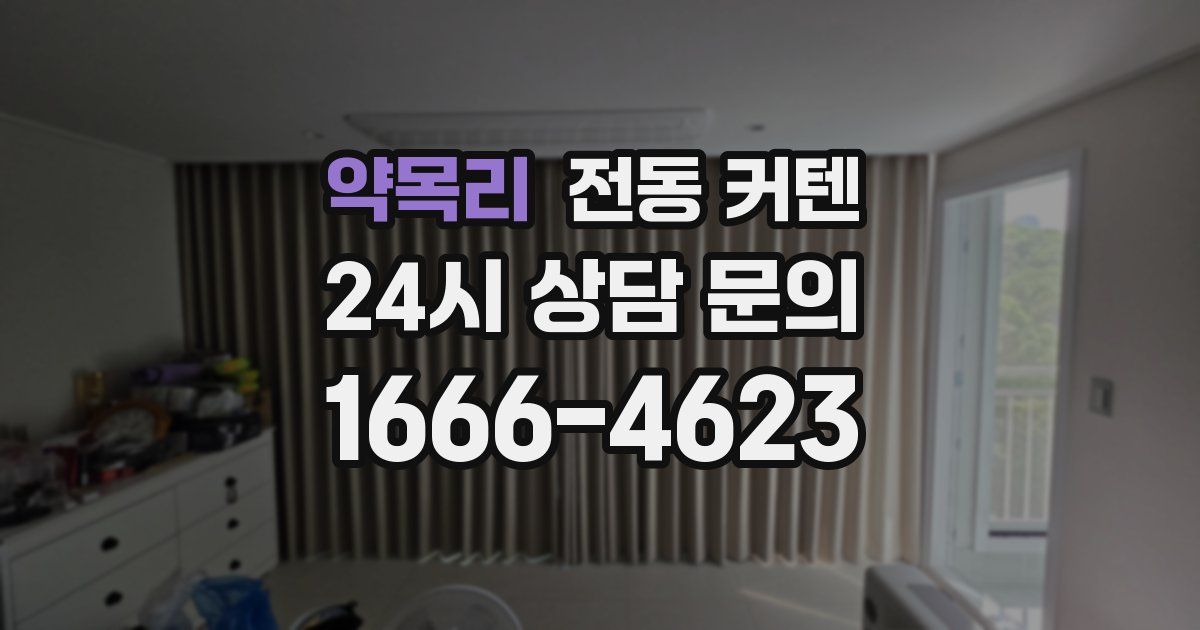 약목리 전동 커텐