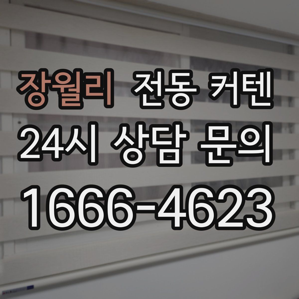 장월리 전동 커텐