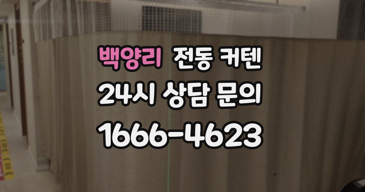 백양리 전동 커텐