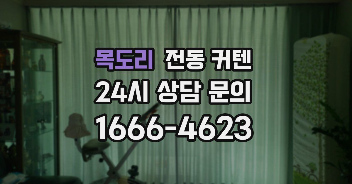 목도리 전동 커텐