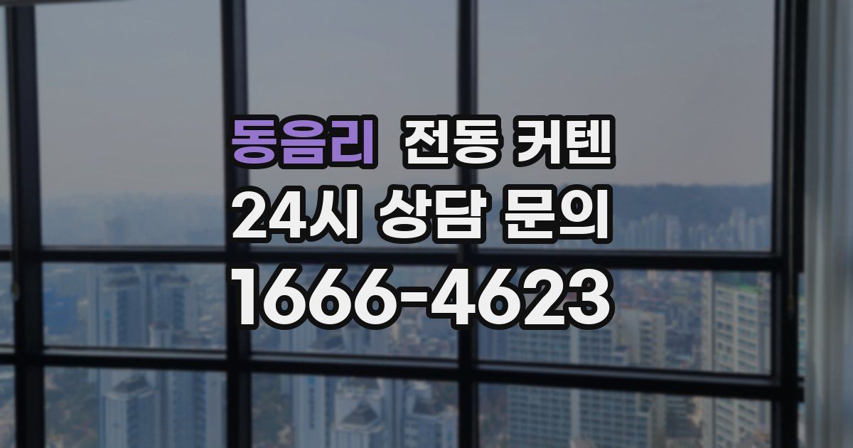 동음리 전동 커텐