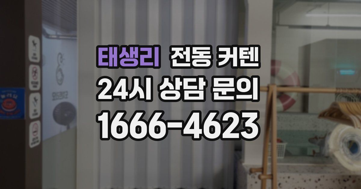 태생리 전동 커텐