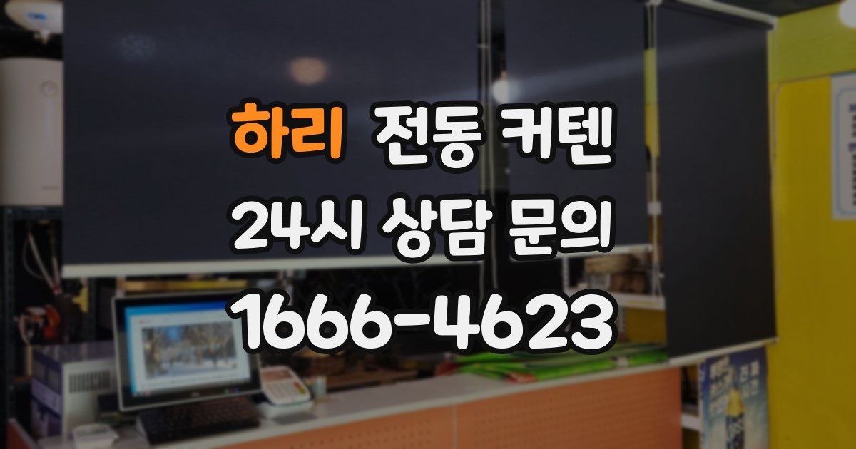 하리 전동 커텐