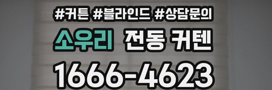 소우리 전동 커텐