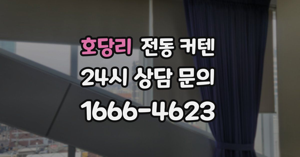 호당리 전동 커텐