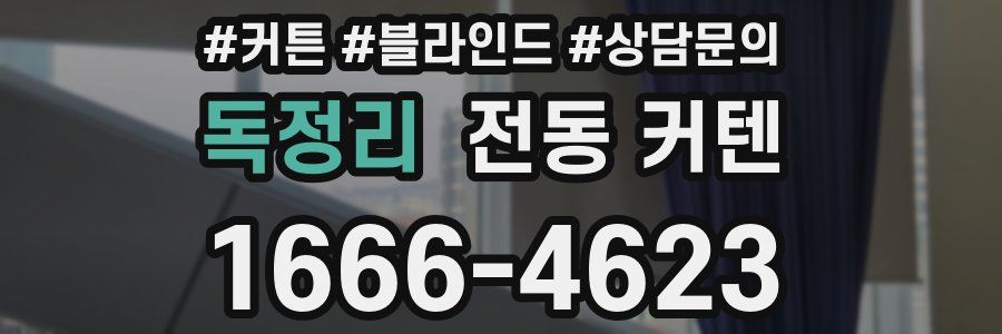 독정리 전동 커텐