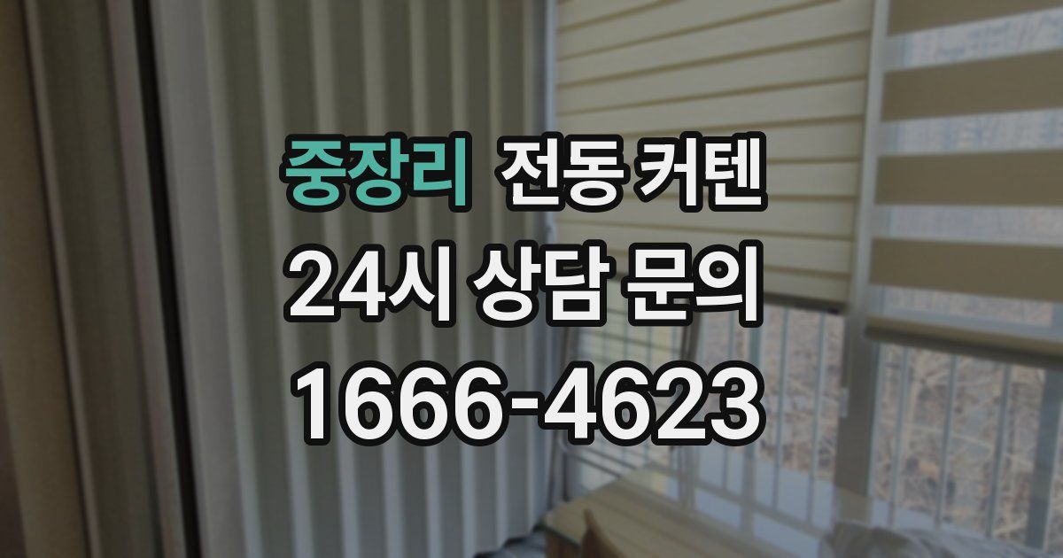 중장리 전동 커텐