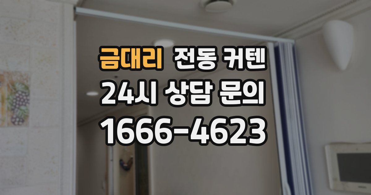 금대리 전동 커텐