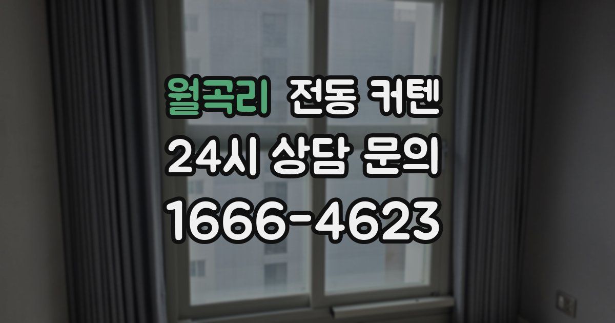 월곡리 전동 커텐