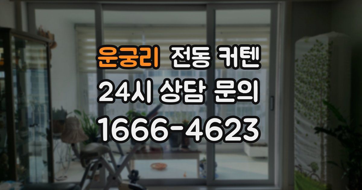 운궁리 전동 커텐