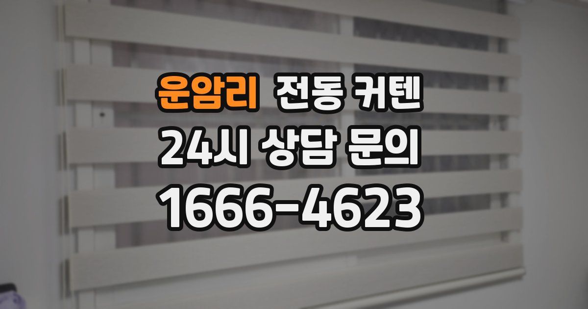운암리 전동 커텐