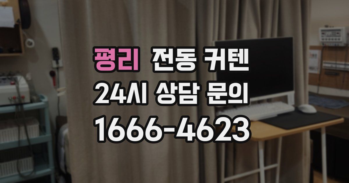 평리 전동 커텐