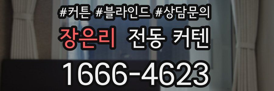 장은리 전동 커텐