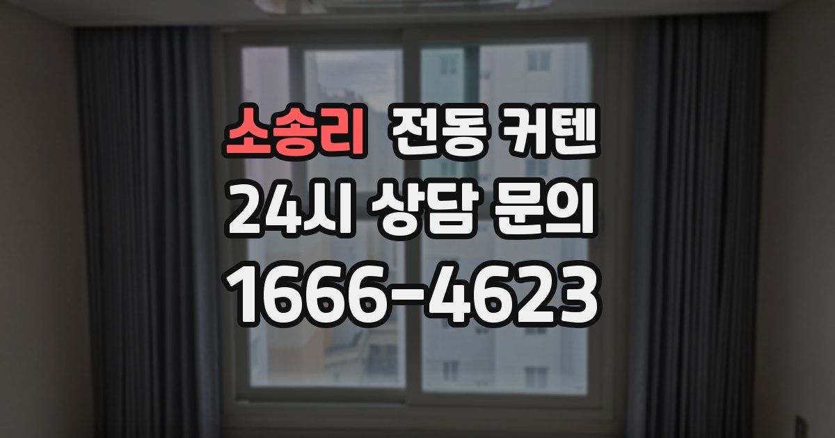 소송리 전동 커텐