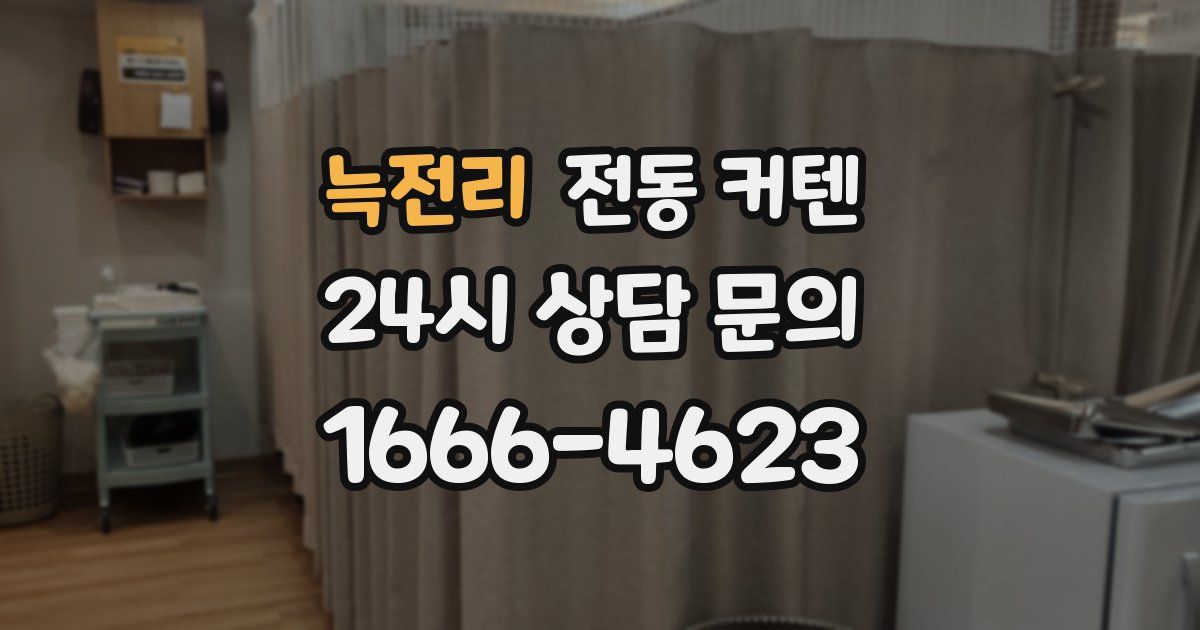 늑전리 전동 커텐