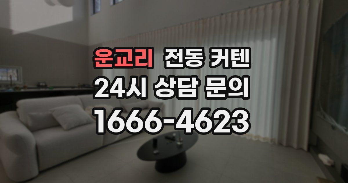 운교리 전동 커텐