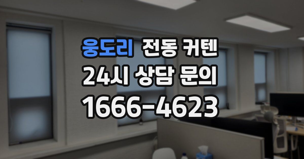 웅도리 전동 커텐