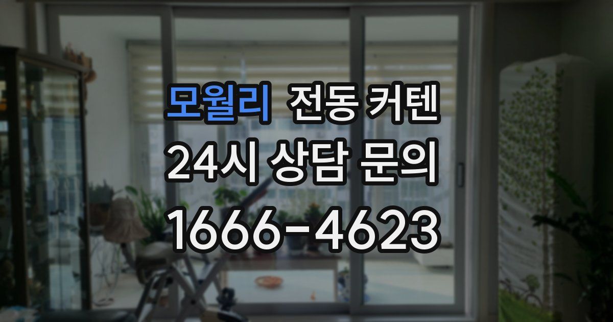 모월리 전동 커텐