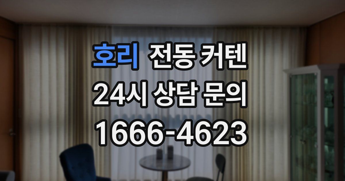 호리 전동 커텐