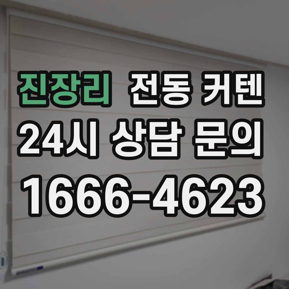진장리 전동 커텐