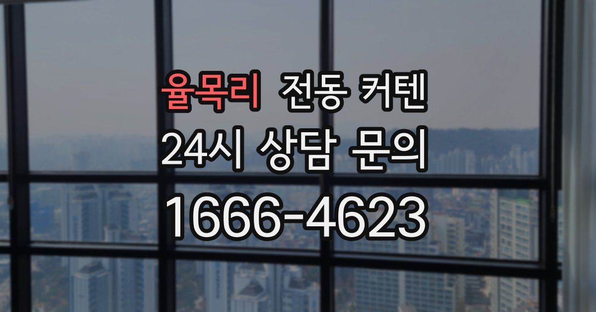 율목리 전동 커텐