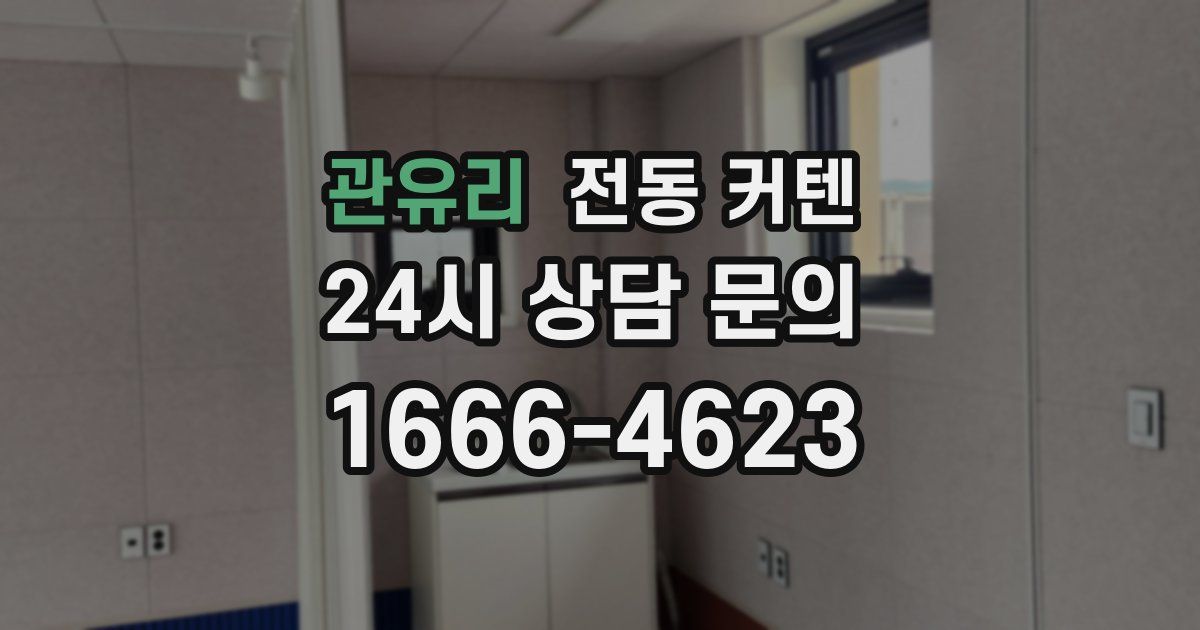 관유리 전동 커텐