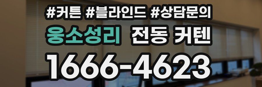 웅소성리 전동 커텐