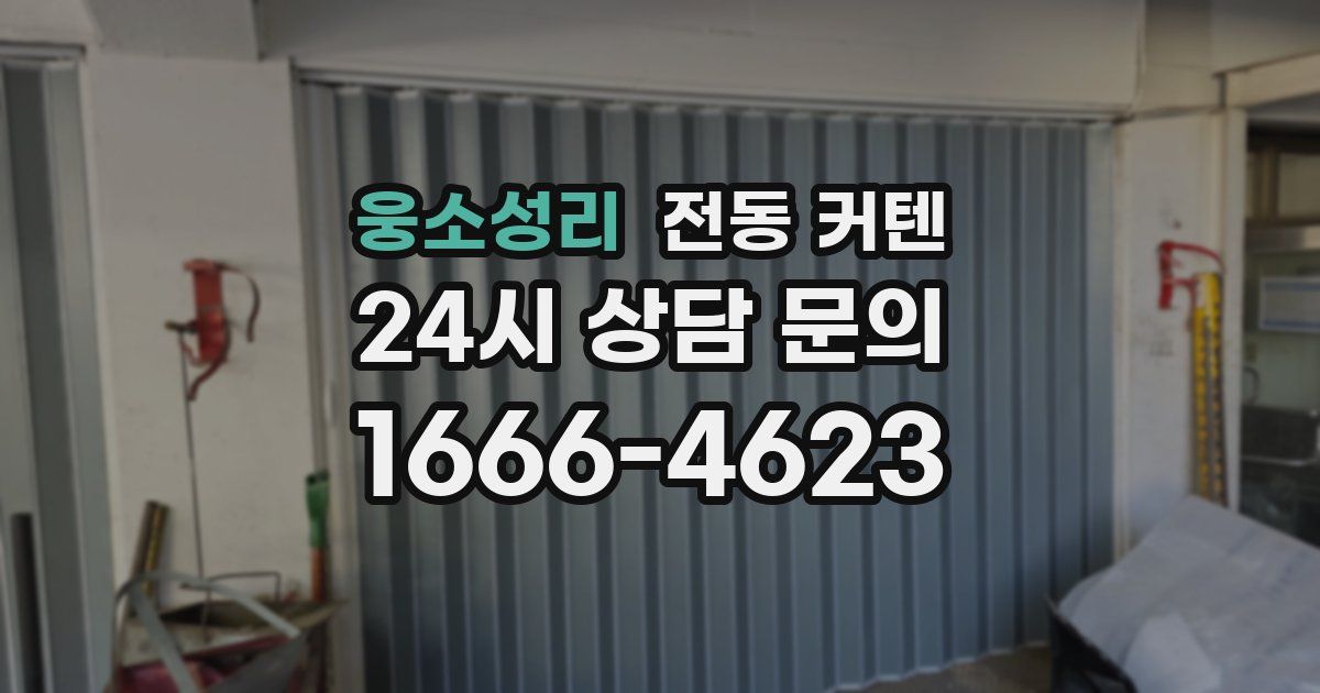 웅소성리 전동 커텐