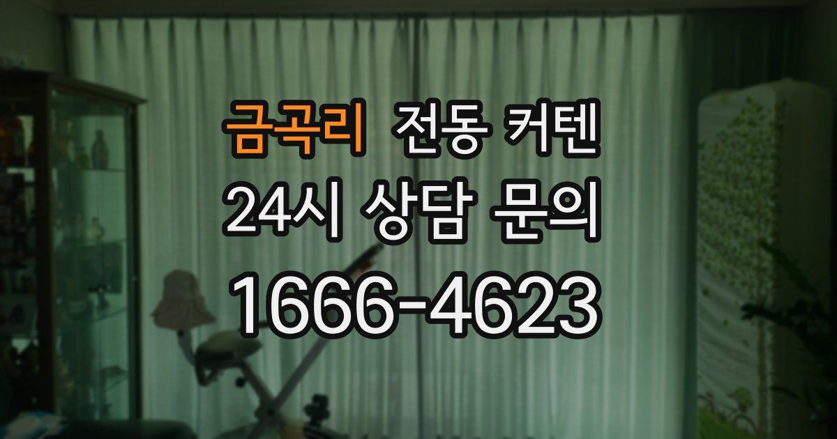 금곡리 전동 커텐