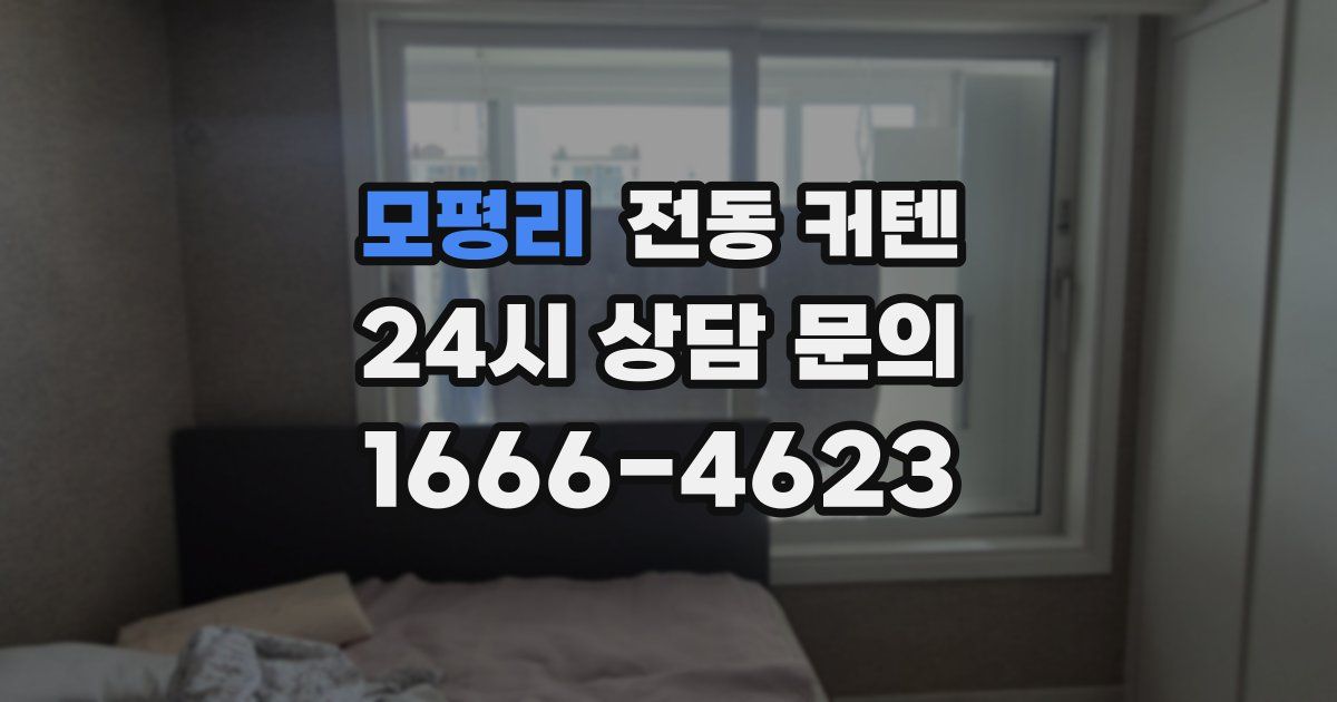 모평리 전동 커텐