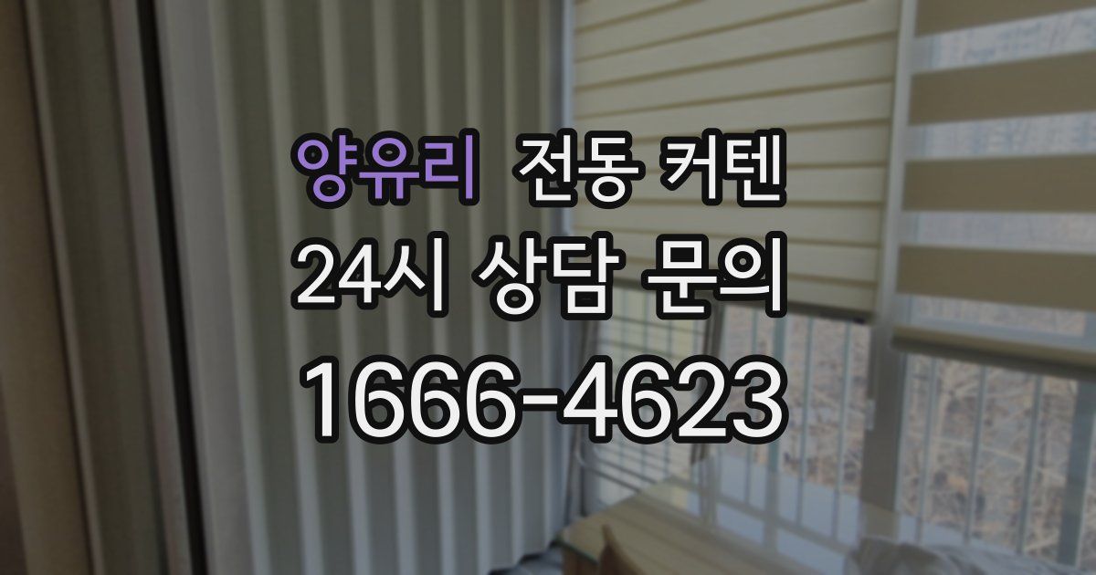 양유리 전동 커텐