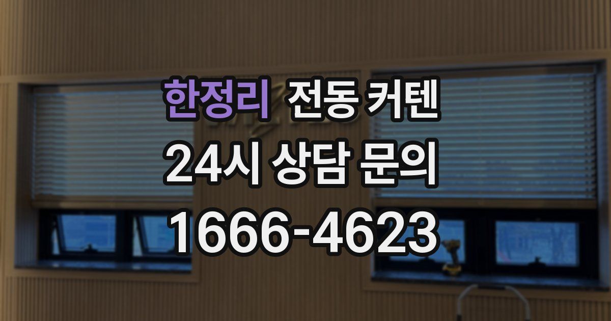한정리 전동 커텐